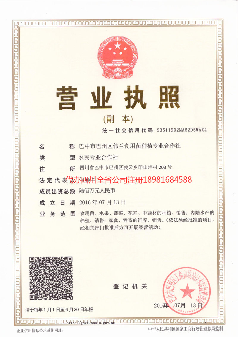 吉林市吉林市伟兰食用菌种植专业合作社